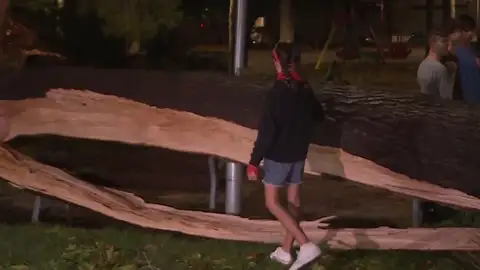 En estado crítico tras caerle una rama de un árbol en L'Anoia, en Baix De Llobregat En estado crítico tras caerle una rama de un árbol en L'Anoia, en Baix De Llobregat
