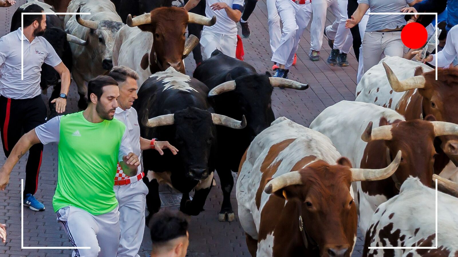 VÍDEO: Sexto encierro de San Sebastián de los Reyes 2022