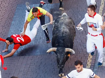 Sexto encierro de San Sebastián de los Reyes Sexto encierro de San Sebastián de los Reyes