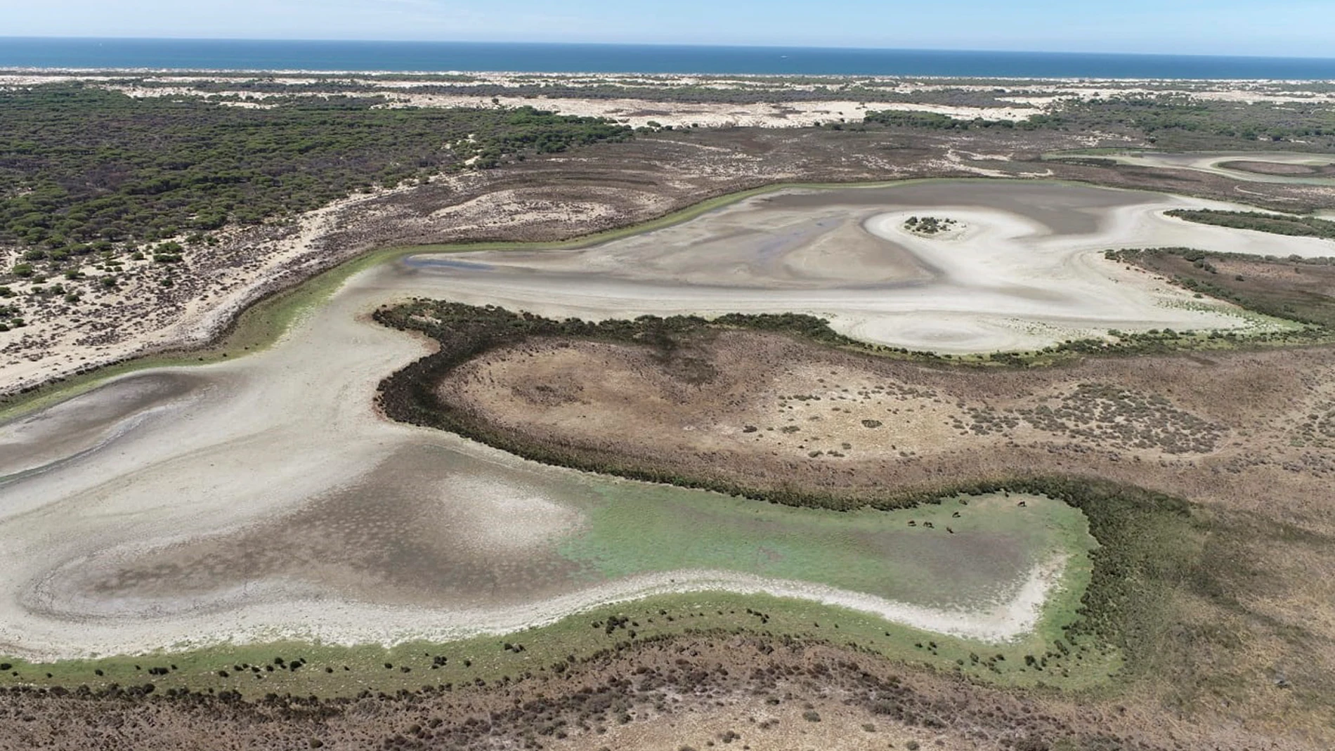Imagen de la laguna de Santa Olalla tras la sequía