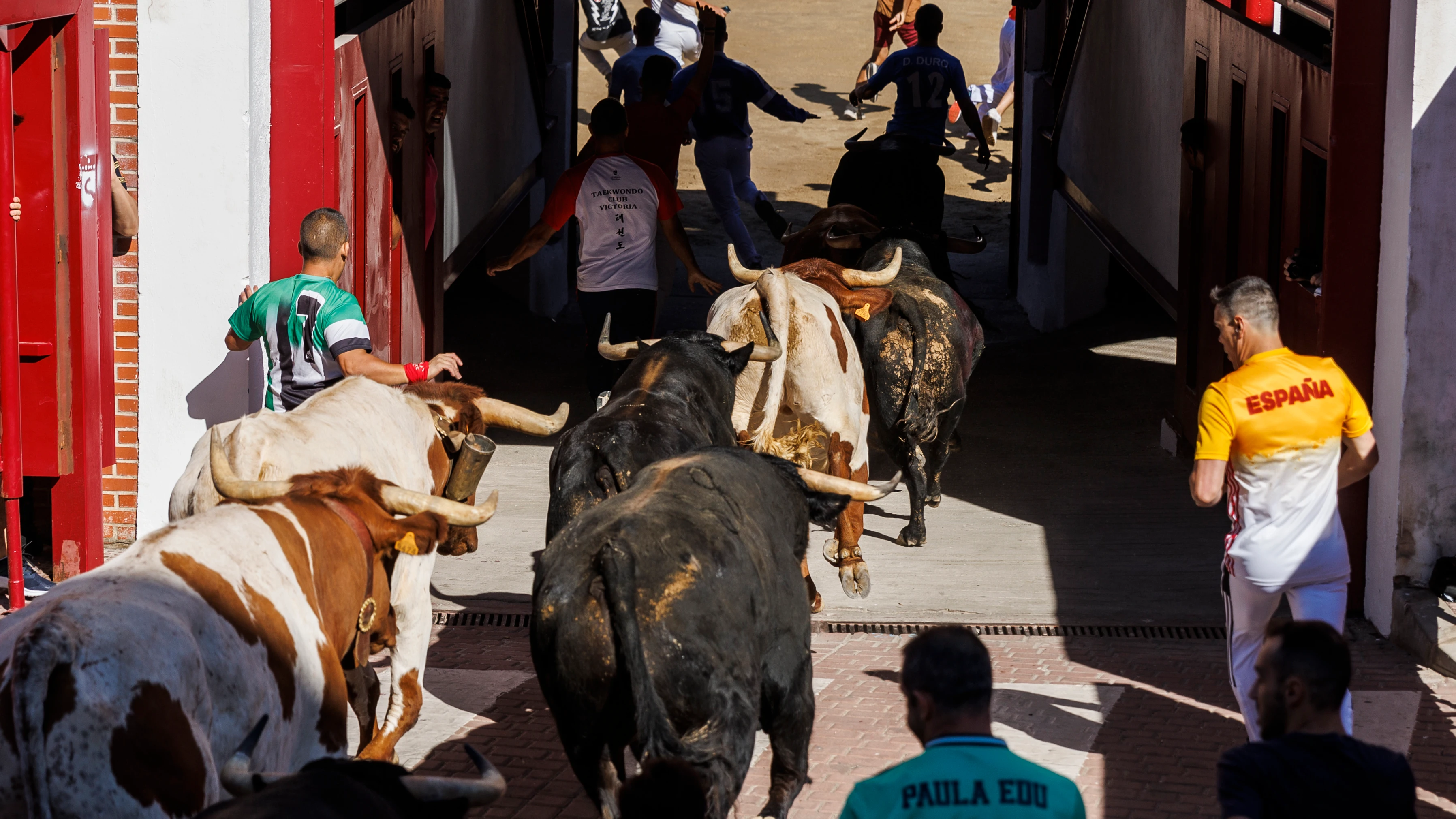 Octavo encierro en San Sebasti&aacute;n de los Reyes