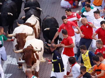 Encierro San Sebastián de los Reyes 2022 Encierro San Sebastián de los Reyes 2022