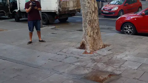 En la imagen, un reportero toma imágenes del lugar del suceso. En la imagen, un reportero toma imágenes del lugar del suceso.