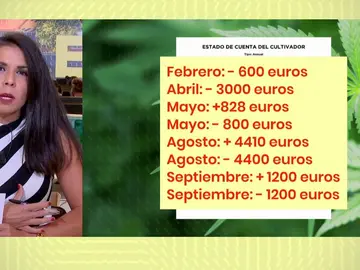 Timo de la marihuana. Timo de la marihuana.