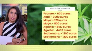 Así es el timo de la marihuana que ha dejado sin ahorros a más de 40.000 afectados