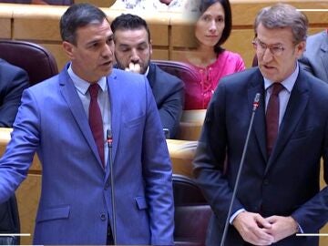 Pedro Sánchez y Alberto Núñez Feijóo en su último debate en el Senado