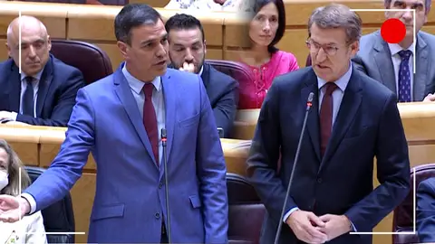 Pedro Sánchez y Alberto Núñez Feijóo en su último debate en el Senado Pedro Sánchez y Alberto Núñez Feijóo en su último debate en el Senado