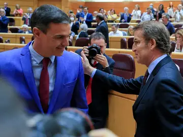 Sánchez y Feijóo en su último encuentro en el Senado Sánchez y Feijóo en su último encuentro en el Senado