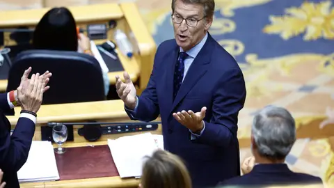 Alberto Núñez Feijóo durante el cara a cara en el Senado. Alberto Núñez Feijóo durante el cara a cara en el Senado.