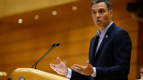 Pedro Sánchez, en su intervención en el Senado Pedro Sánchez, en su intervención en el Senado