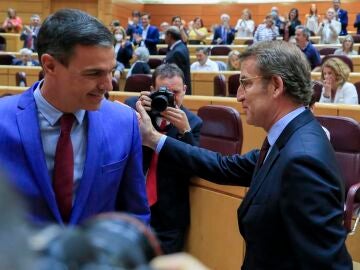 Pedro Sánchez y Alberto Núñez Feijóo