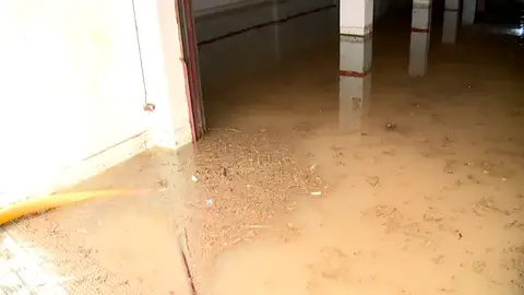 Lluvia Lluvia