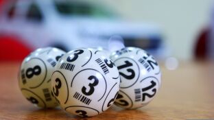 Bolas del bingo 