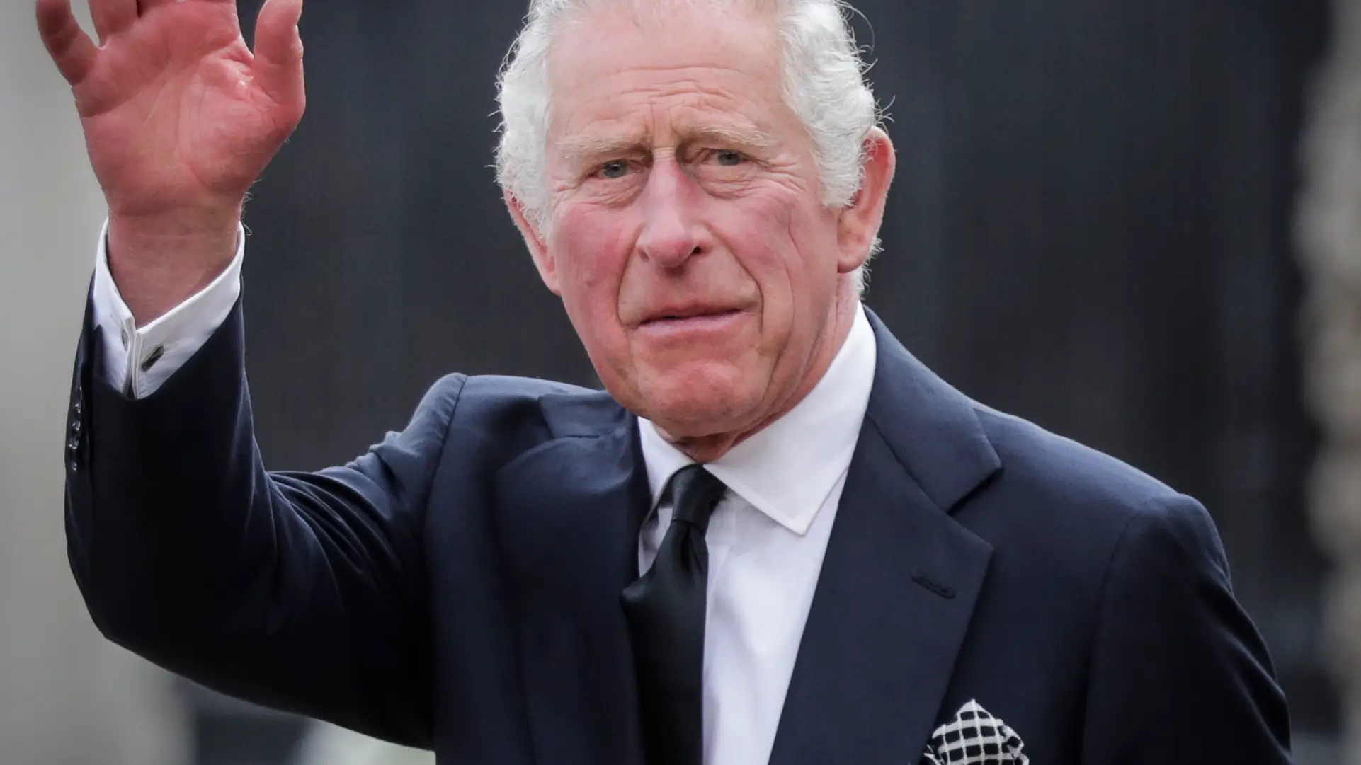 El rey Carlos III El rey Carlos III