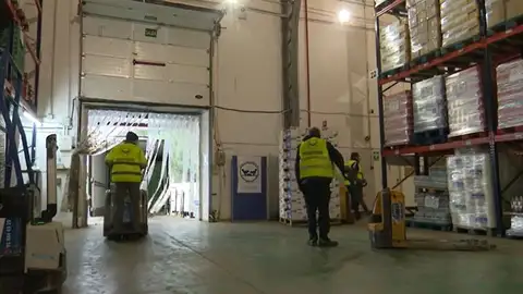 Voluntarios banco de alimentos Voluntarios banco de alimentos