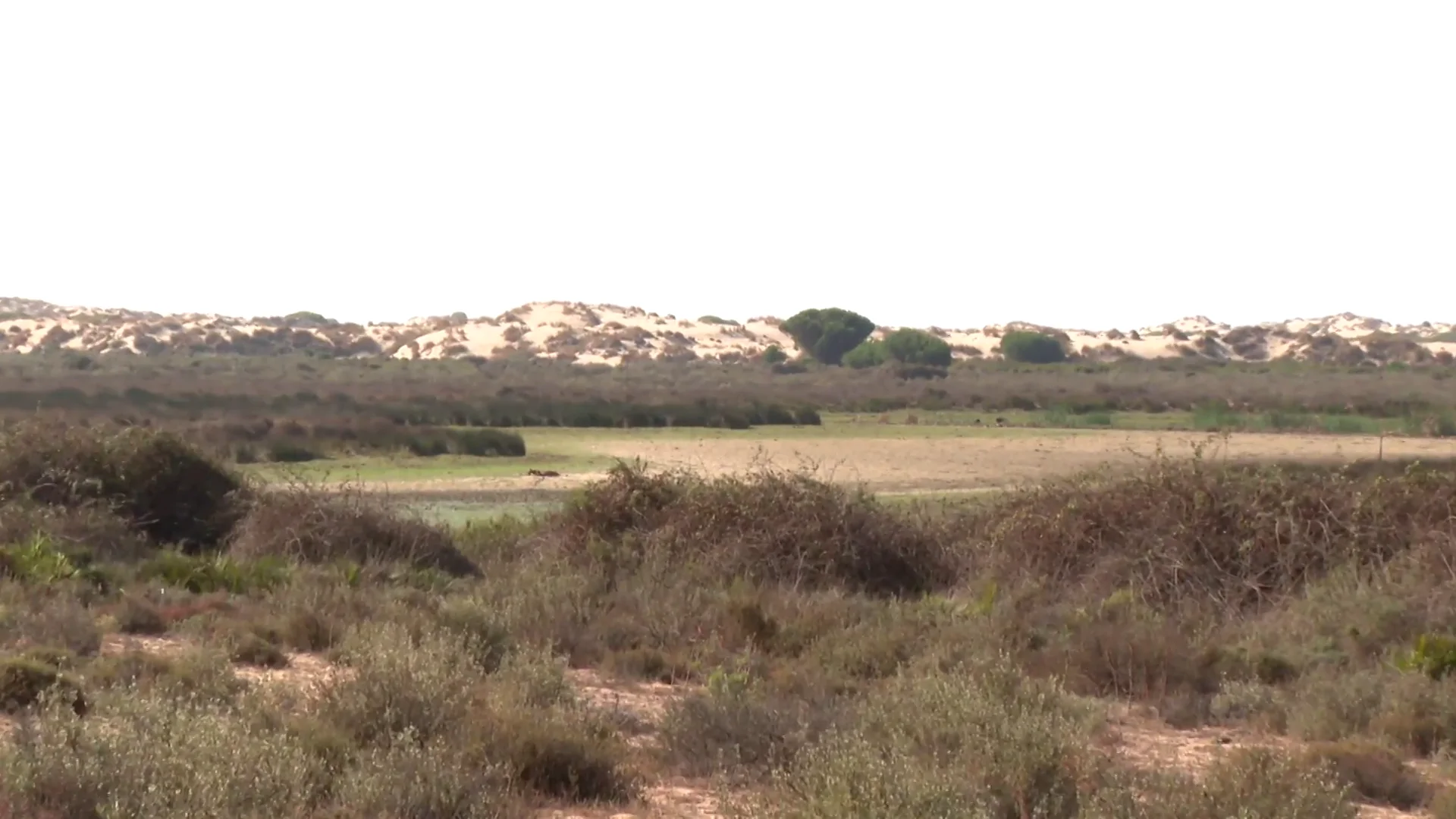 La laguna de Santa Olalla, seca La laguna de Santa Olalla, seca