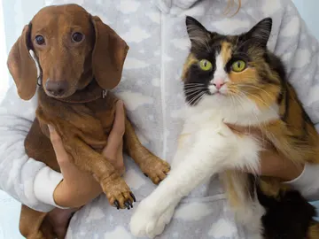 Mujer con un perro y un gato en brazos Mujer con un perro y un gato en brazos