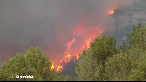 ¿Qué es el 'chapapote de monte'? Una catástrofe ecológica tras los incendios forestales de este verano ¿Qué es el 'chapapote de monte'? Una catástrofe ecológica tras los incendios forestales de este verano