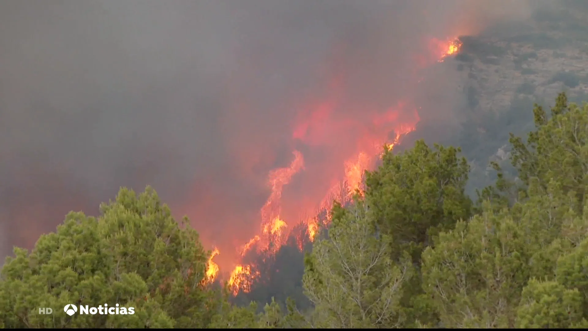 ¿Qué es el 'chapapote de monte'? Una catástrofe ecológica tras los incendios forestales de este verano ¿Qué es el 'chapapote de monte'? Una catástrofe ecológica tras los incendios forestales de este verano