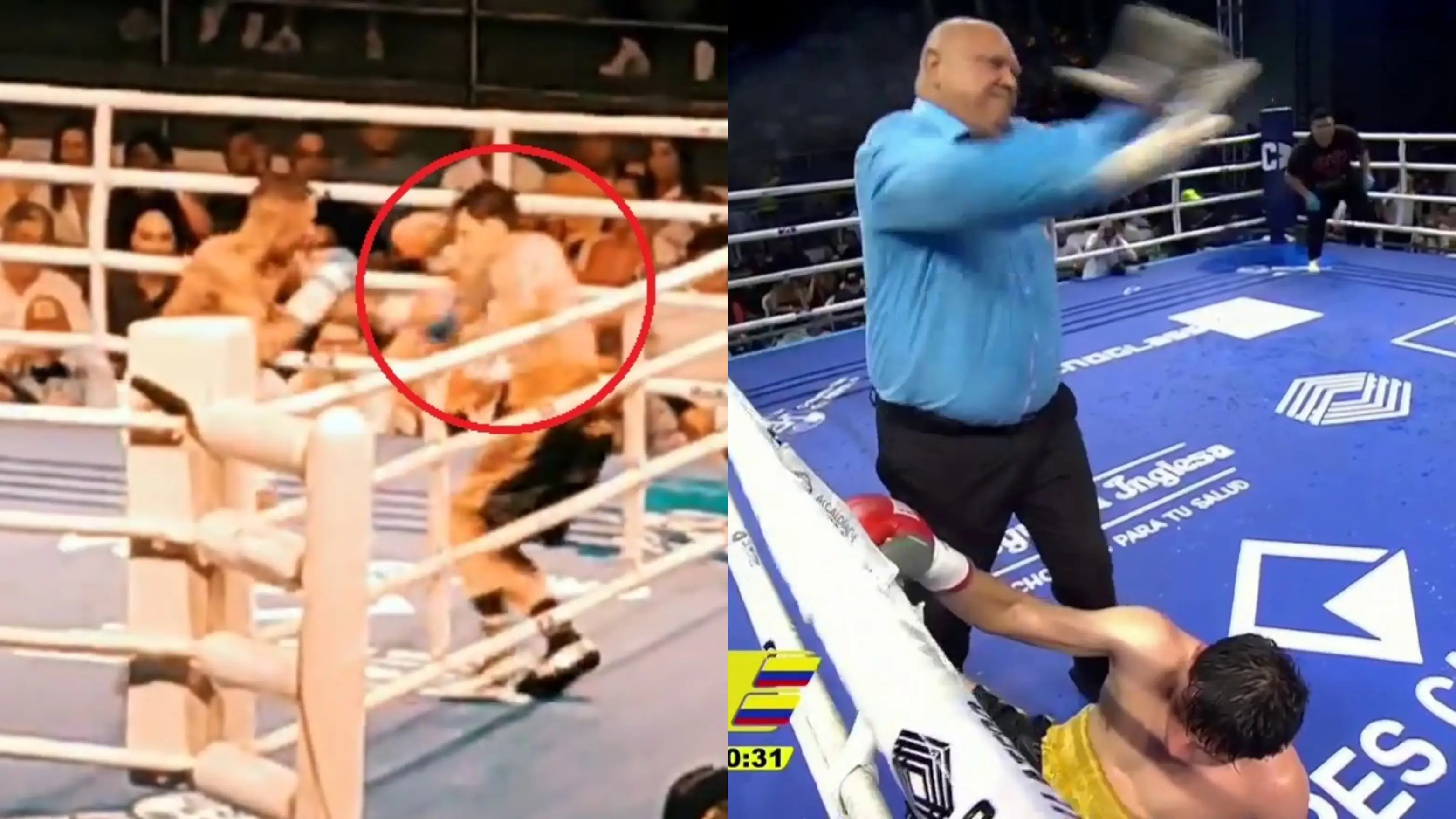 El boxeador Luis Qui&ntilde;ones, en el momento de caer desplomado en el ring