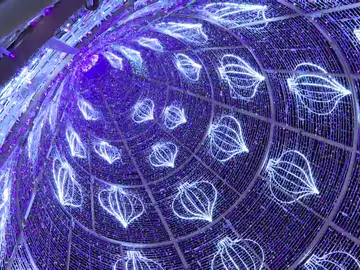 Árbol con luces de Navidad Árbol con luces de Navidad