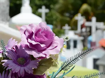 Flores en el cementerio 