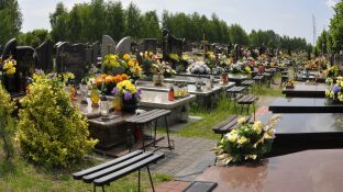 Flores en el cementerio 