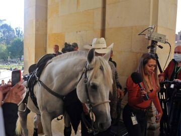 El senador Alirio Barrera entra con su caballo al Congreso de Colombia