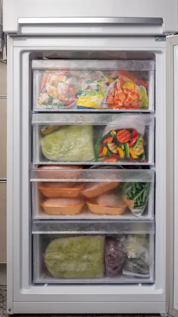 Congelador Congelador