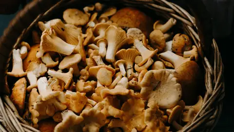 Cesta de setas Cesta de setas