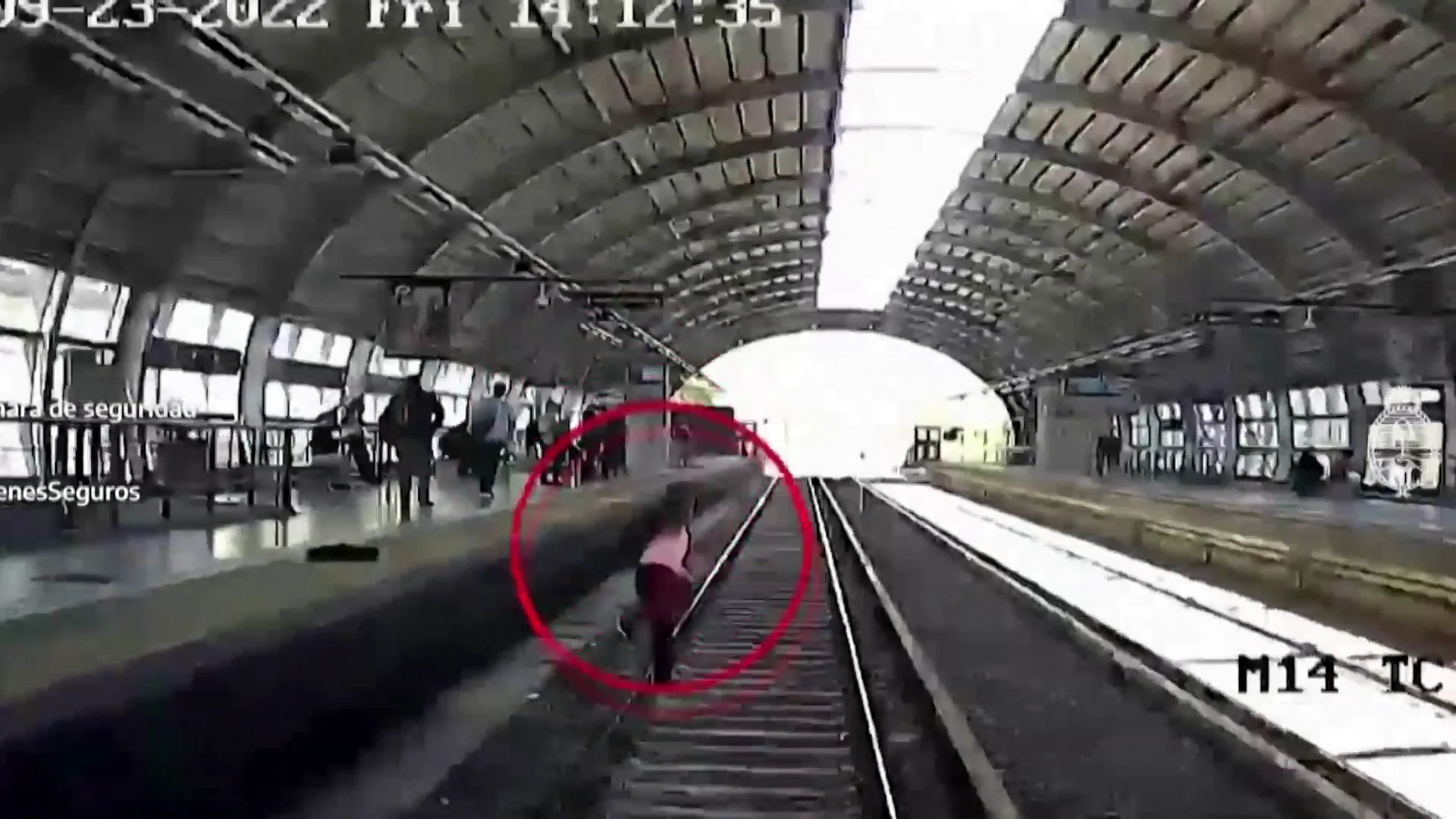 Un hombre cae a las vías del tren en Argentina Un hombre cae a las vías del tren en Argentina