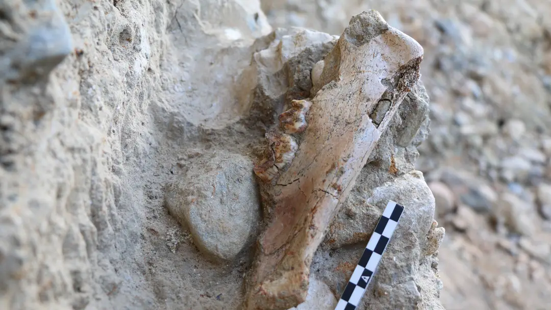 Restos del yacimiento del Barranco de la Boella, en Tarragona Restos del yacimiento del Barranco de la Boella, en Tarragona