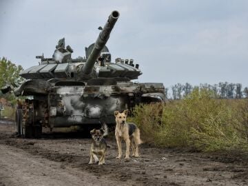 Un tanque ruso capturado por tropas ucranianas