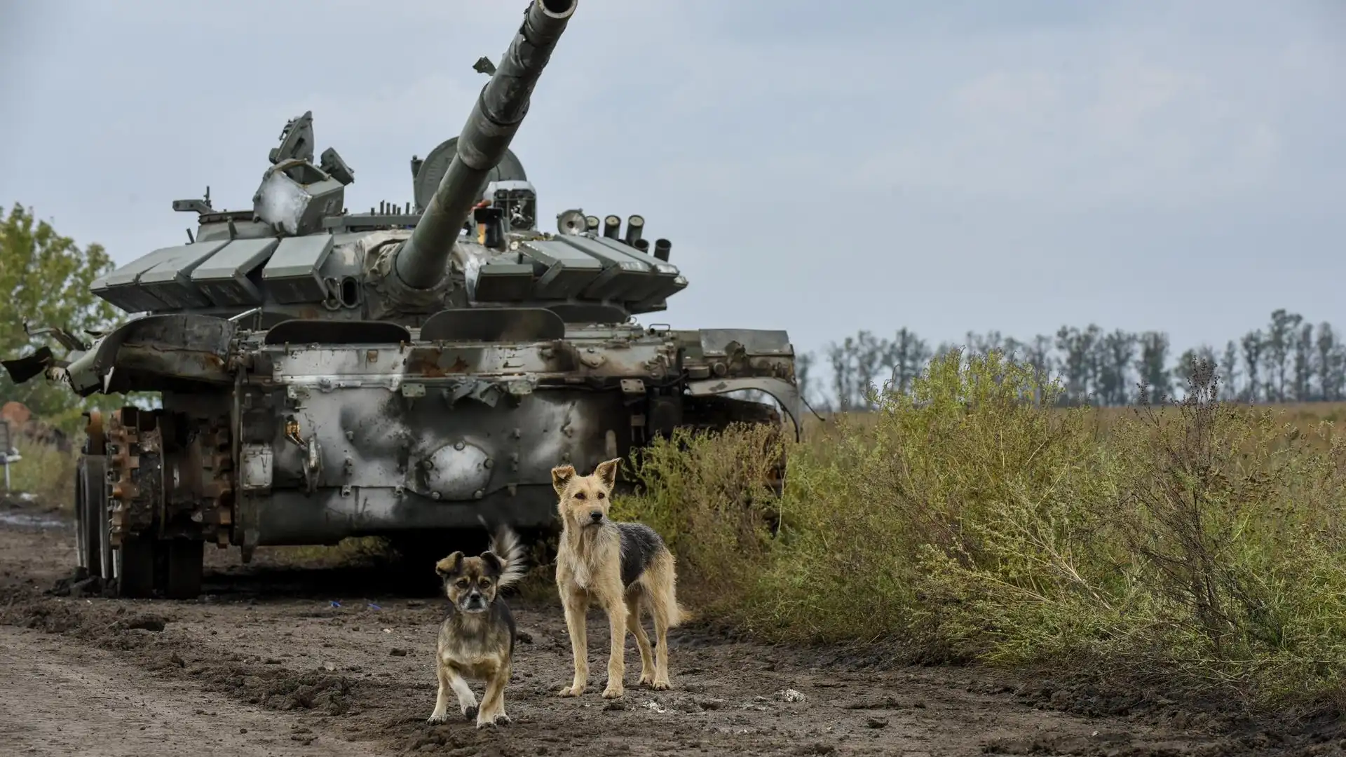 Un tanque ruso capturado por tropas ucranianas Un tanque ruso capturado por tropas ucranianas