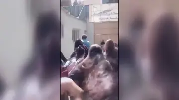 El profesor siendo expulsado por las niñas El profesor siendo expulsado por las niñas