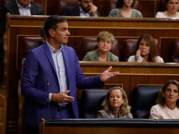 Pedro Sánchez 