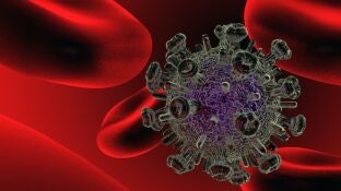 virus VIH