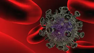 virus VIH virus VIH