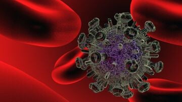 virus VIH