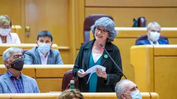 Exsenadora de Adelante Andalucía busca empleo a través de Twitter Exsenadora de Adelante Andalucía busca empleo a través de Twitter