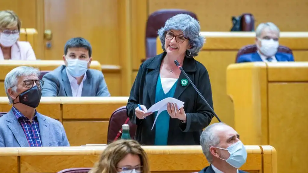 Pilar Gonz&aacute;lez Modino en el Senado