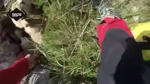 Momento en el que rescatan al perro Palomo Rescate