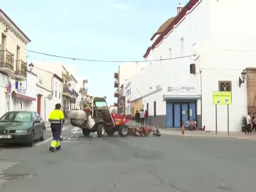 Atropello Huelva Atropello Huelva