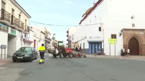 Atropello Huelva Atropello Huelva