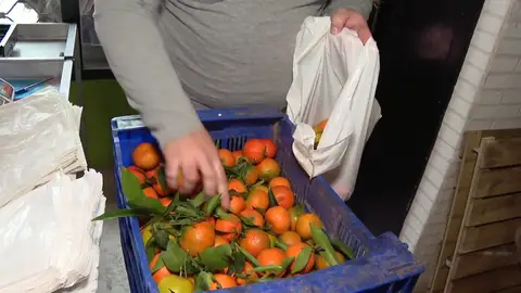 Naranjas de la frutería de Vitoria Vitoria