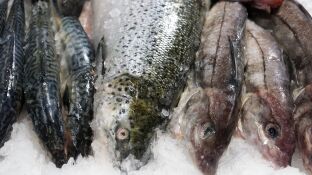 Pescado en el supermercado 
