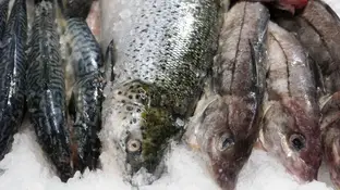 Pescado en el supermercado Pescado en el supermercado
