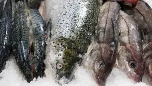 Pescado en el supermercado 