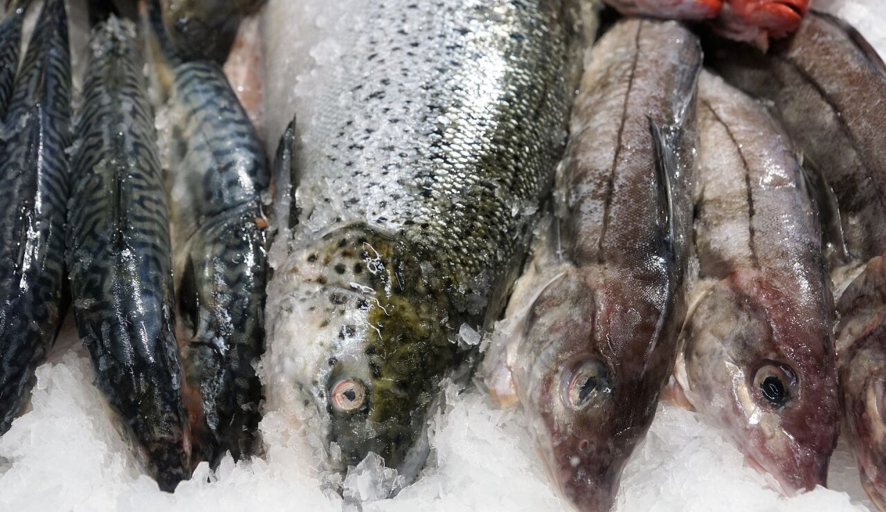 Pescado en el supermercado 