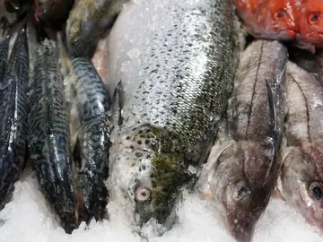Pescado en el supermercado Pescado en el supermercado